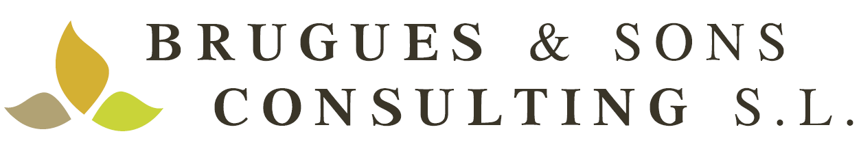 BRUGUES & SONS CONSULTING S.L.
